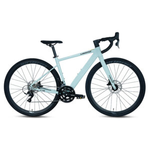 Road Bike FL280