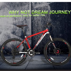 Special Design for Mountain Bike Carbon 29 - MTB SINBAO 860 – Sinbao