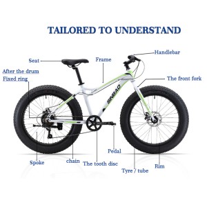 PriceList for China OEM High quality 26inch Fat bike Bicycle for Sale
